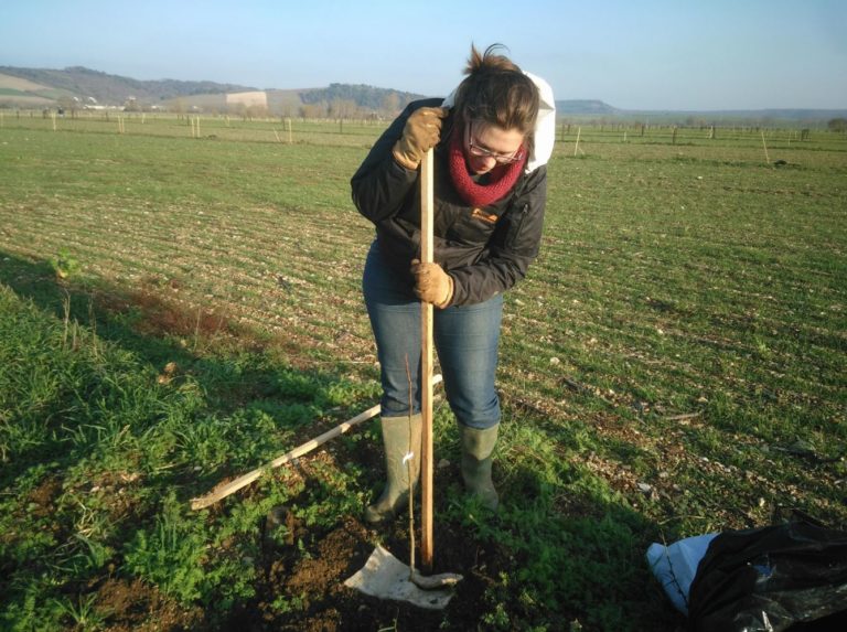Plantation SuylvaTerra
