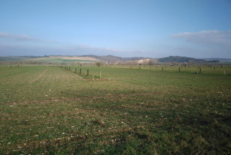 Plantation SuylvaTerra