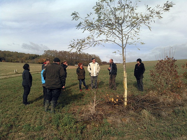 FormationAgroforesterie_08112018_SylvaTerra_ARDEARGrandESt-2