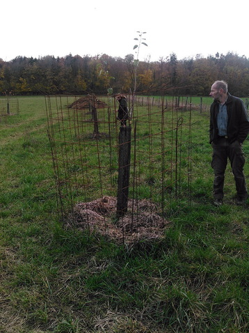 FormationAgroforesterie_08112018_SylvaTerra_ARDEARGrandESt-6