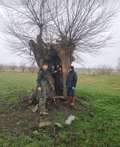 plantationLacroixMeuse-SylvaTerra-21122018-1