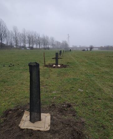 plantationLacroixMeuse-SylvaTerra-21122018-3