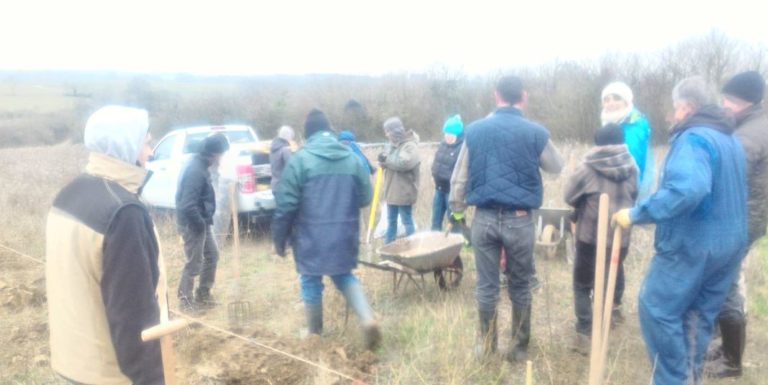 plantationNouilly-14122018-2