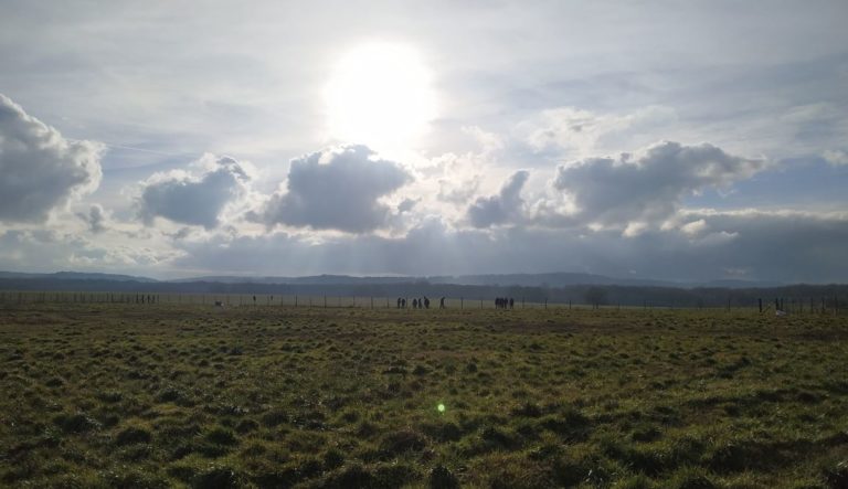 BrousseyRaulecourt-plantationHaie12022019_SylvaTerraAgroforesterie-2