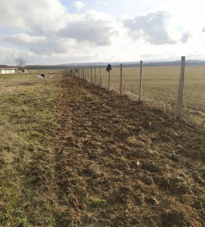 BrousseyRaulecourt-plantationHaie12022019_SylvaTerraAgroforesterie-3