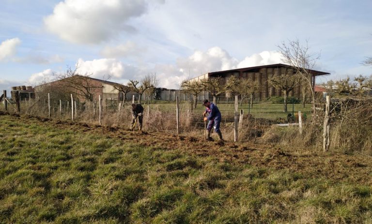 BrousseyRaulecourt-plantationHaie12022019_SylvaTerraAgroforesterie