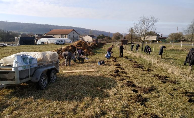 Chaillon-plantationHaie20022019-SylvaTerraAgroforesterie-4