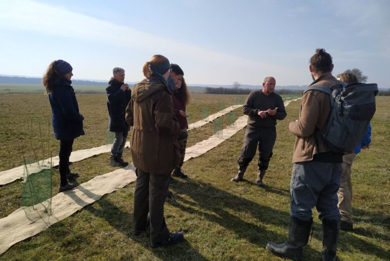 JourneeTechniqueAgroforesterieElevage21022019-CFPPAAube_SylvaTerraAgroforesterie-2