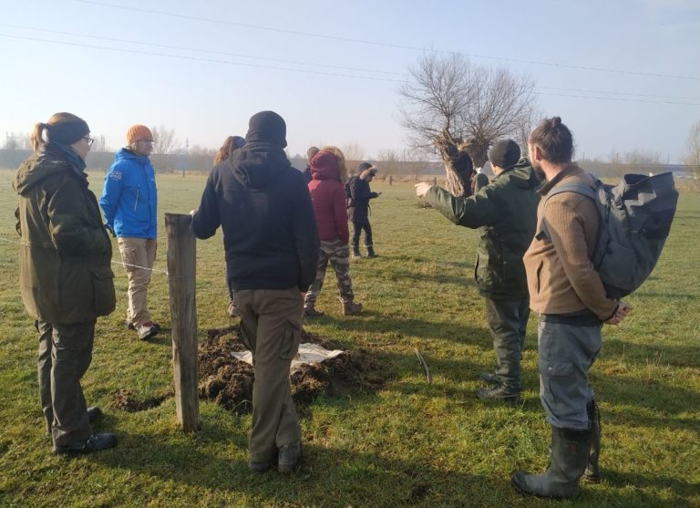 JourneeTechniqueAgroforesterieElevage21022019-CFPPAAube_SylvaTerraAgroforesterie