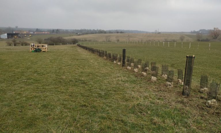 RechicourtLeChateau-PlantationHaie22022019-SylvaTerraAgroforesterie-2