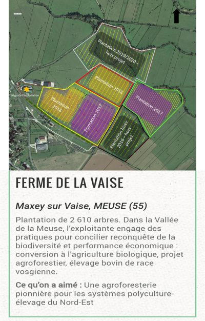Arbres-Avenir-Laureat Arbres-Avenir-Laureat