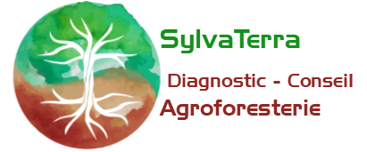 SylvaTerra – Conseil Agroforesterie Grand-Est Lorraine Champagne