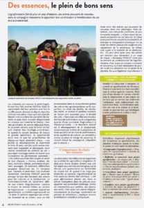 Article-MeuseECHOS_Agroforesterie-SylvaTerra_28102019