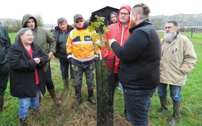 Formation-Agroforesterie-SylvaTerra-17102019